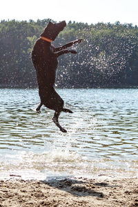 Man jumping on sea against sky