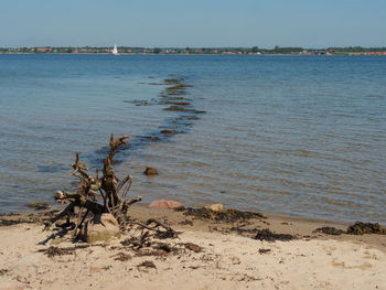 Scenic view of sea against clear sky