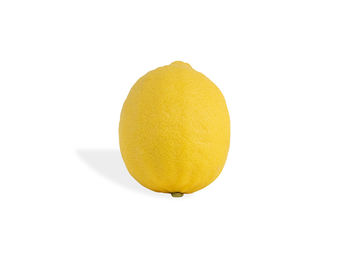 Close-up of lemon slice against white background