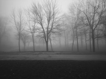 Bare trees on landscape against sky during winter