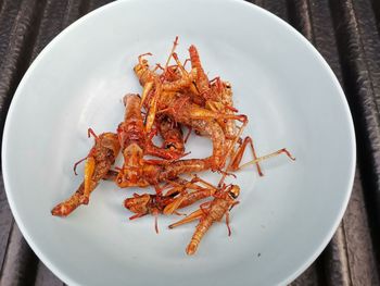 High angle view of  grasshoppers in bowl on table