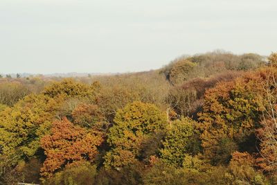 Scenic view of landscape against clear sky