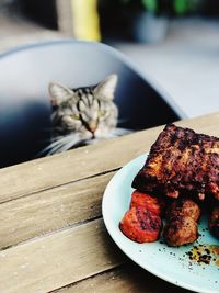 Close-up of a cat in plate on table