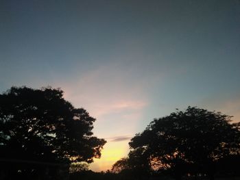 Low angle view of silhouette trees against sky during sunset