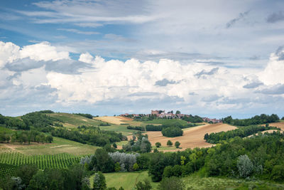 Scenic view of agricultural field against sky