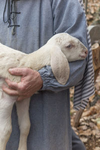 Lamb with shepherd