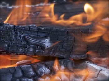 Close-up of fire on log