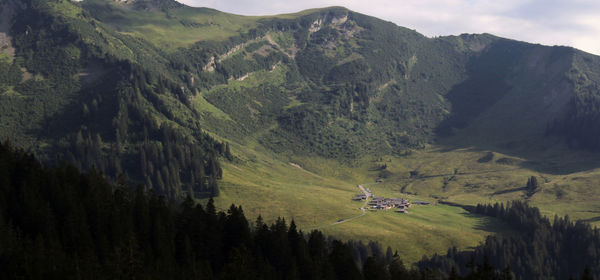 environment