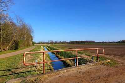 Scenic view of field against clear blue sky