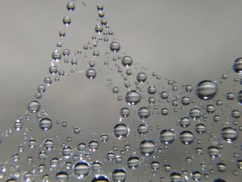 Close-up of water drops on leaf