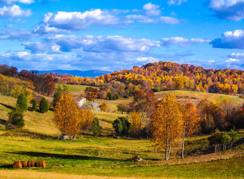 Scenic view of landscape against sky during autumn