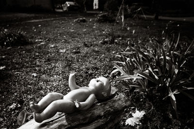 Abandoned doll by plants in park