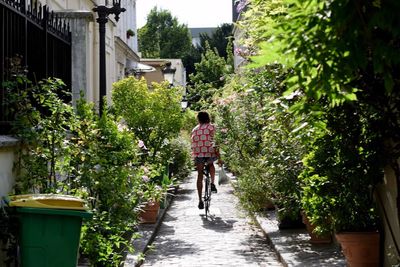 Rear view of man riding bicycle