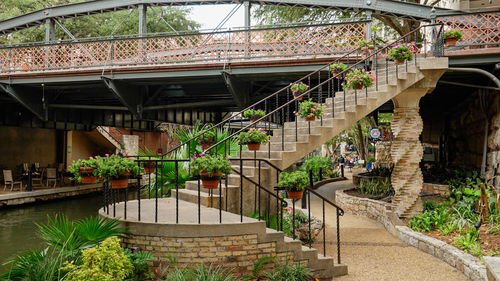 High angle view of plants