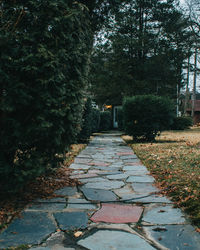 Footpath amidst trees in park during autumn