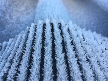 Close-up of frosted road