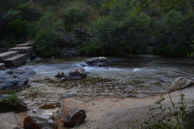 River flowing through forest