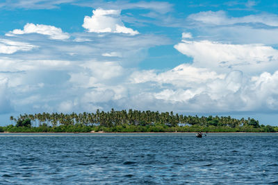 Tropical beach with rocks, lush vegetation on pemba island