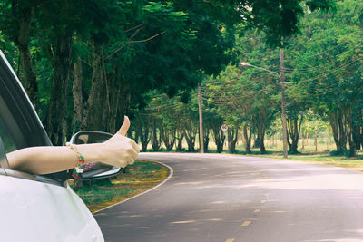 Man with umbrella on road by trees