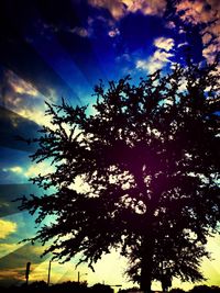 Low angle view of bare trees against cloudy sky