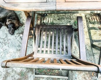 High angle view of dog sitting on chair