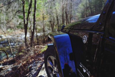 Close-up of car in forest