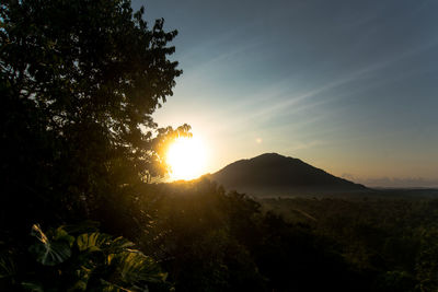 Scenic view of silhouette trees against sky during sunset