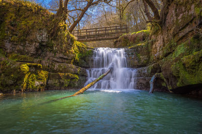 Scenic view of waterfall in forest