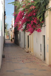 Alley amidst buildings in town