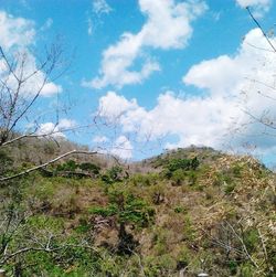 Scenic view of landscape against cloudy sky