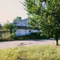 Calm lake with trees in background