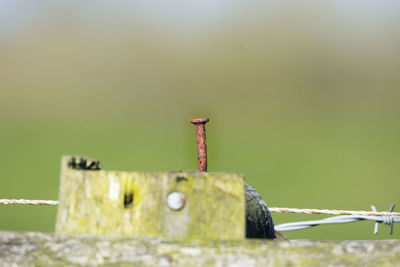 Close-up of rusty metal