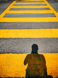 Rear view of a man on zebra crossing
