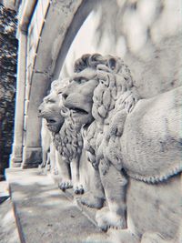 Close-up of a lion statue