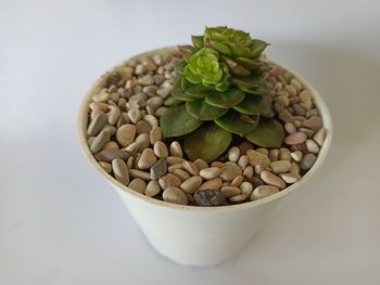 Close-up of green beans in bowl on table