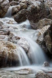 Scenic view of waterfall in forest