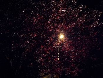 Low angle view of stars in sky at night