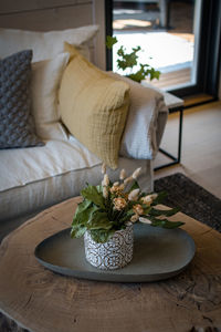 Potted plant on table at home