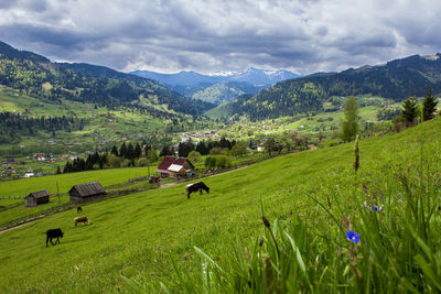 Scenic view of field and mountains against sky