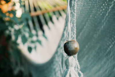 Close-up of fruit hanging on rope