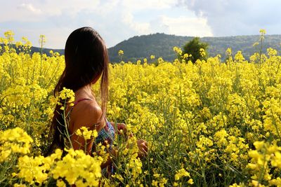 Close-up of yellow flowering plants on field