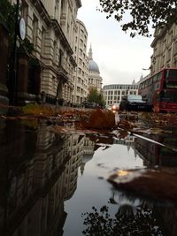 Reflection of buildings in puddle