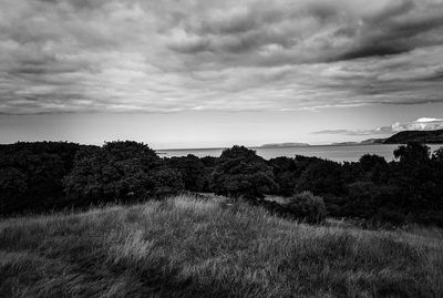 Scenic view of landscape against cloudy sky