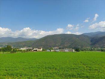 landscape