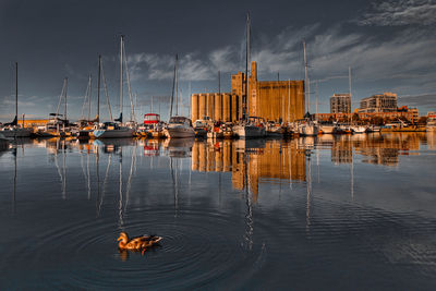 Sailboats in a harbor