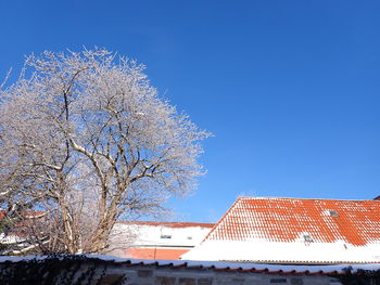 Low angle view of bare tree against sky in winter