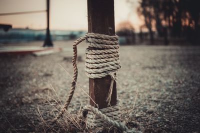 Rope tied to wooden pole