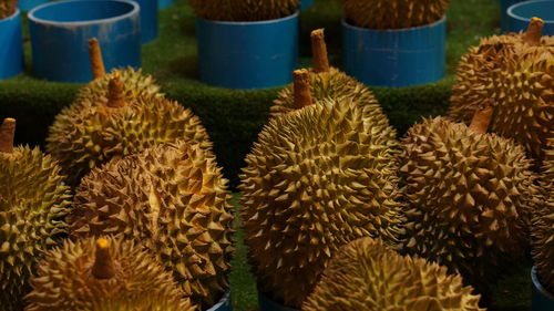 Durian in market 