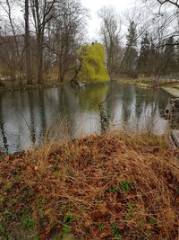 Scenic view of lake in forest