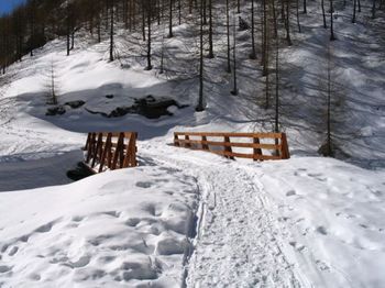 Scenic view of snow covered landscape